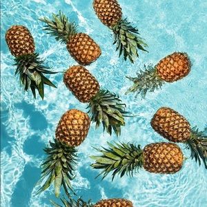 Meet your Posher, Gerriann